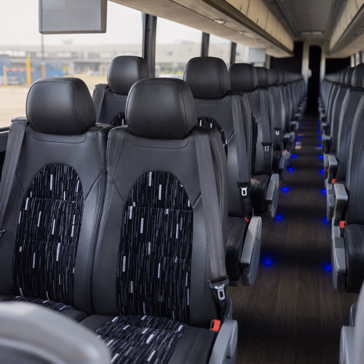 school buses to the phoenix zoo and desert botanical garden at papago park